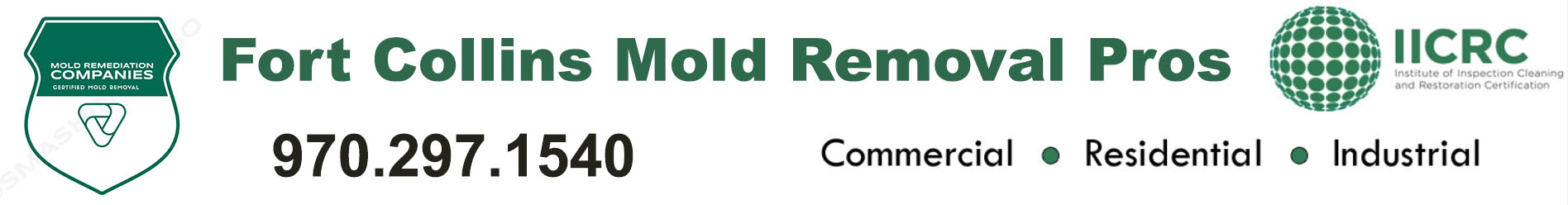 Fort Collins Mold Removal Pros