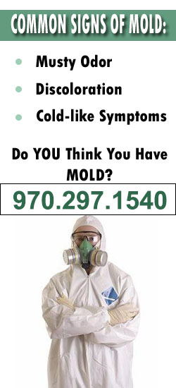 Fort Collins Mold Remediation Contractor